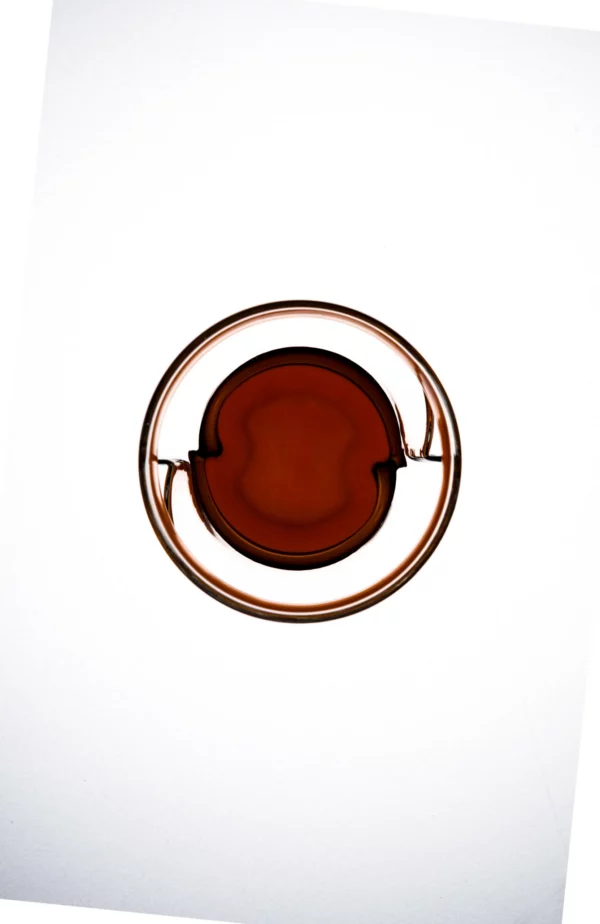 icosa avensi alto glass for sensory experience top view with coffee